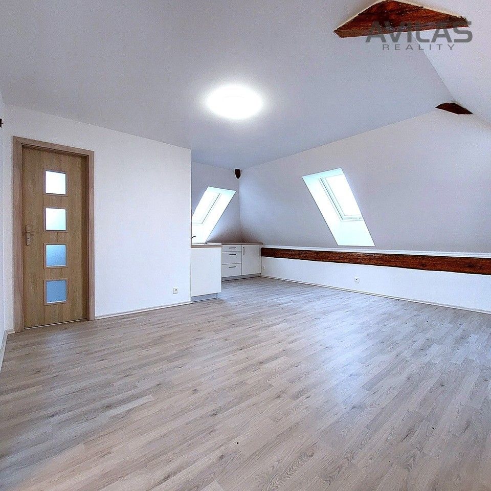Pronájem bytu 1+kk 56 m² - foto 5