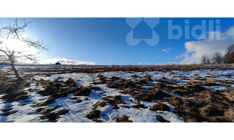 Prodej pozemku 3998 m² - foto 3