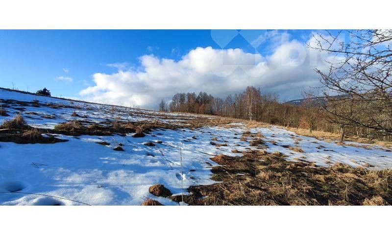 Prodej pozemku 3998 m² - foto 5