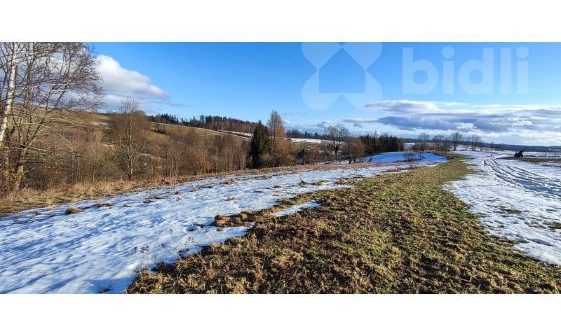 Prodej pozemku 3998 m² - foto 4