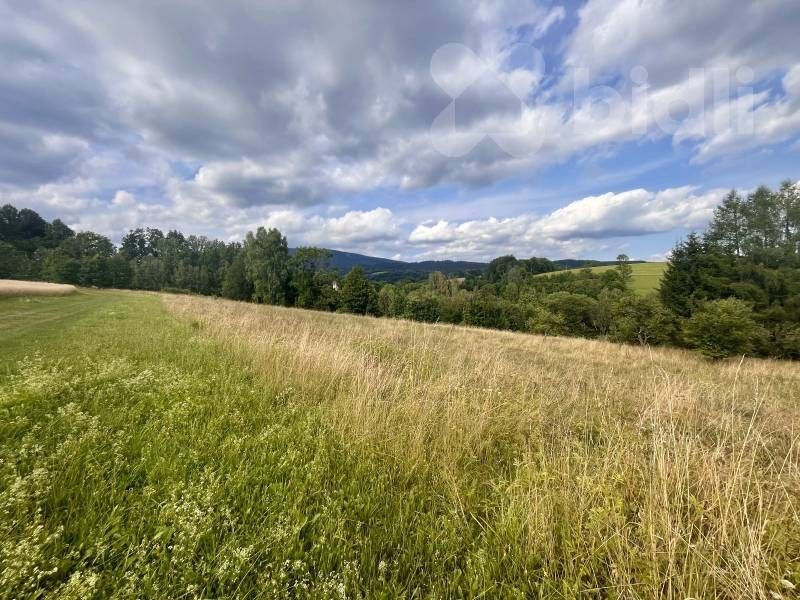 Prodej pozemku 3998 m² - foto 9