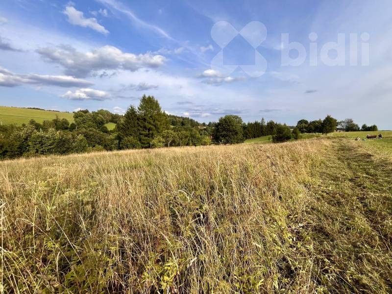 Prodej pozemku 3998 m² - foto 12