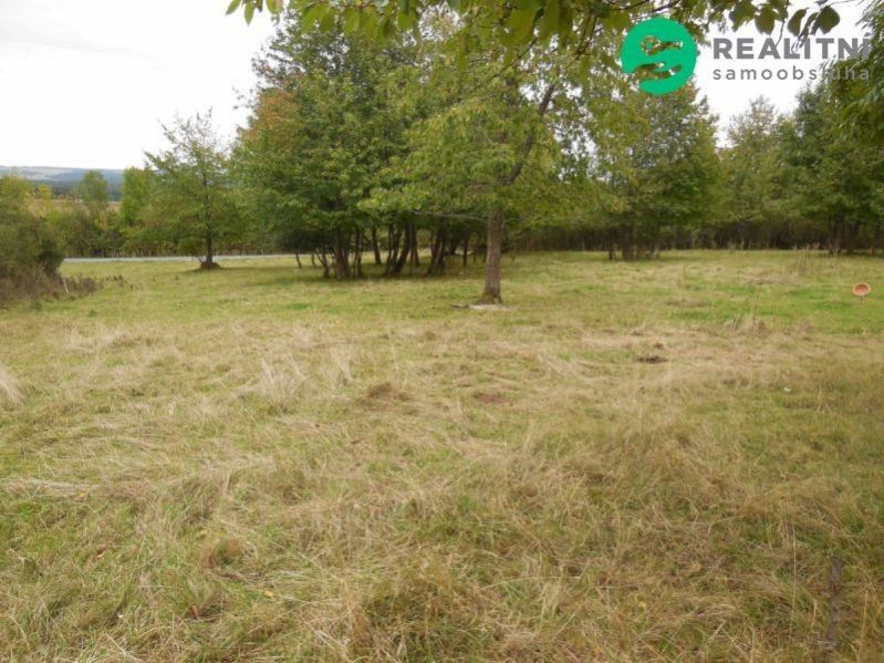 Prodej pozemku 2000 m² - foto 2
