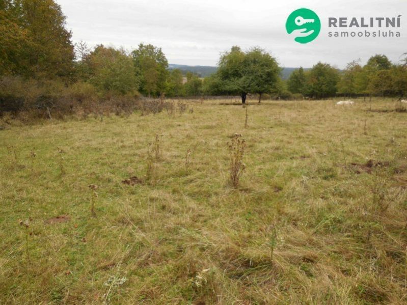 Prodej pozemku 2000 m² - foto 3