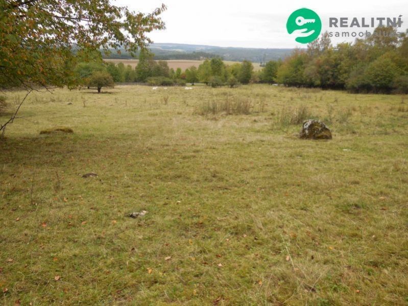Prodej pozemku 2000 m² - foto 4