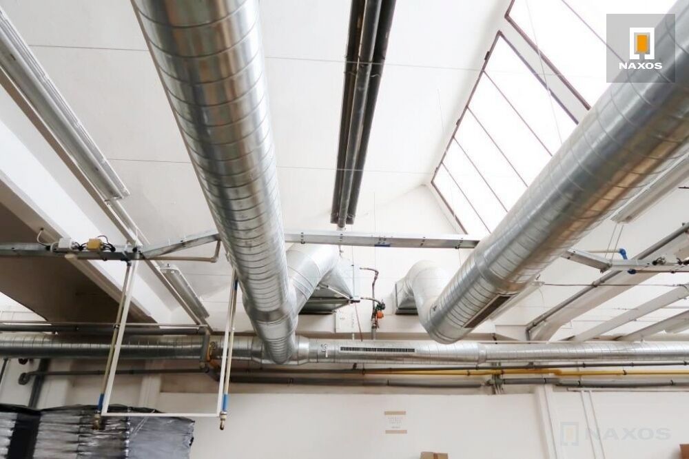Pronájem komerčního prostoru 1000 m² - foto 10
