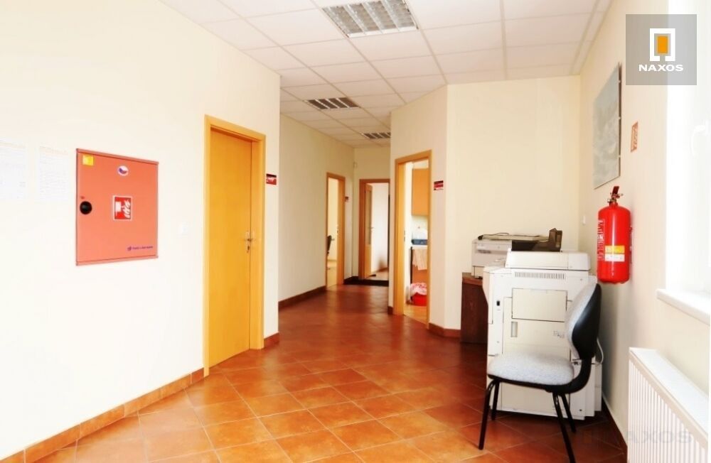 Pronájem komerčního prostoru 1000 m² - foto 20