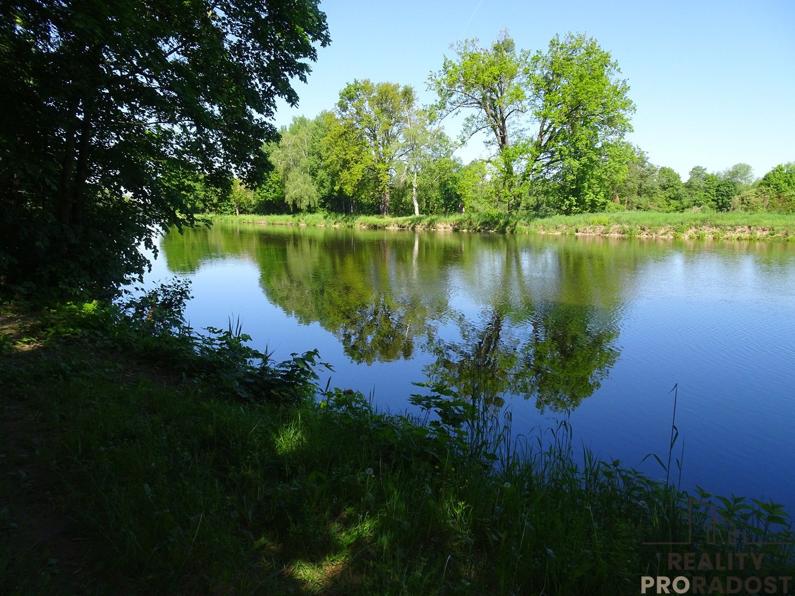 Prodej nemovitosti 3115 m² - foto 1