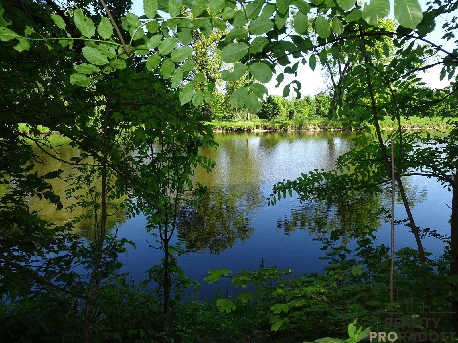 Prodej nemovitosti 3115 m² - foto 2