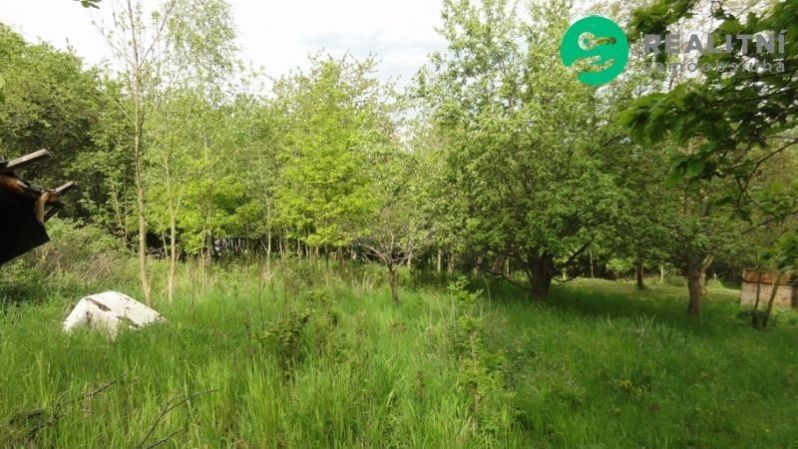 Prodej pozemku 4474 m² - foto 6