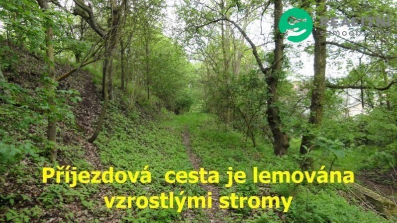 Prodej pozemku 4474 m² - foto 7