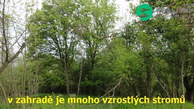 Prodej pozemku 4474 m² - foto 10