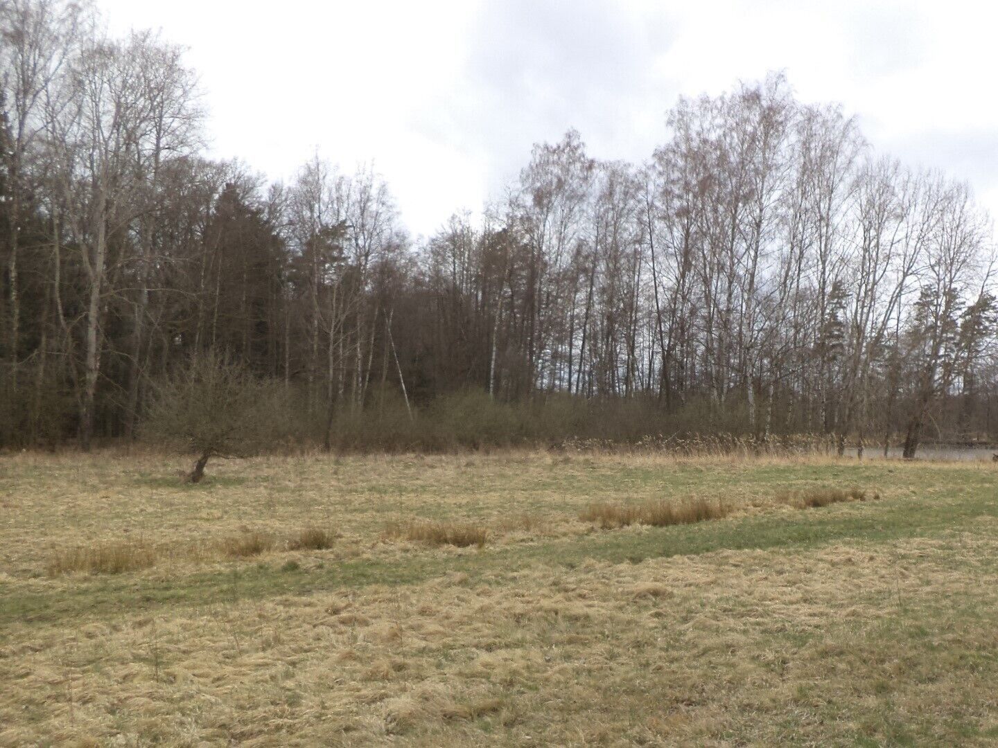 Prodej nemovitosti 6727 m² - foto 3