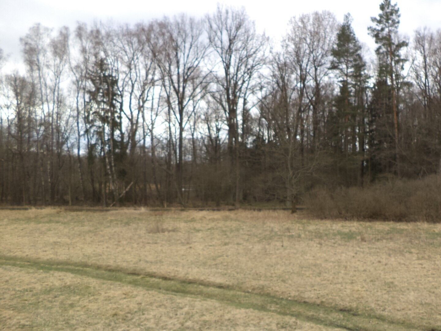 Prodej nemovitosti 6727 m² - foto 4