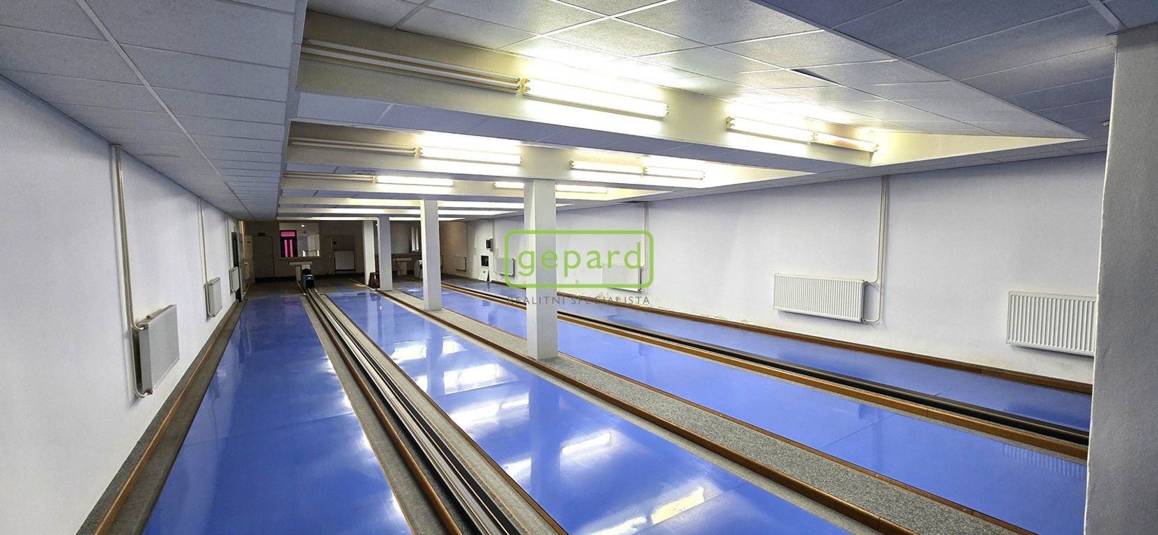 Pronájem nemovitosti 470 m² - foto 8