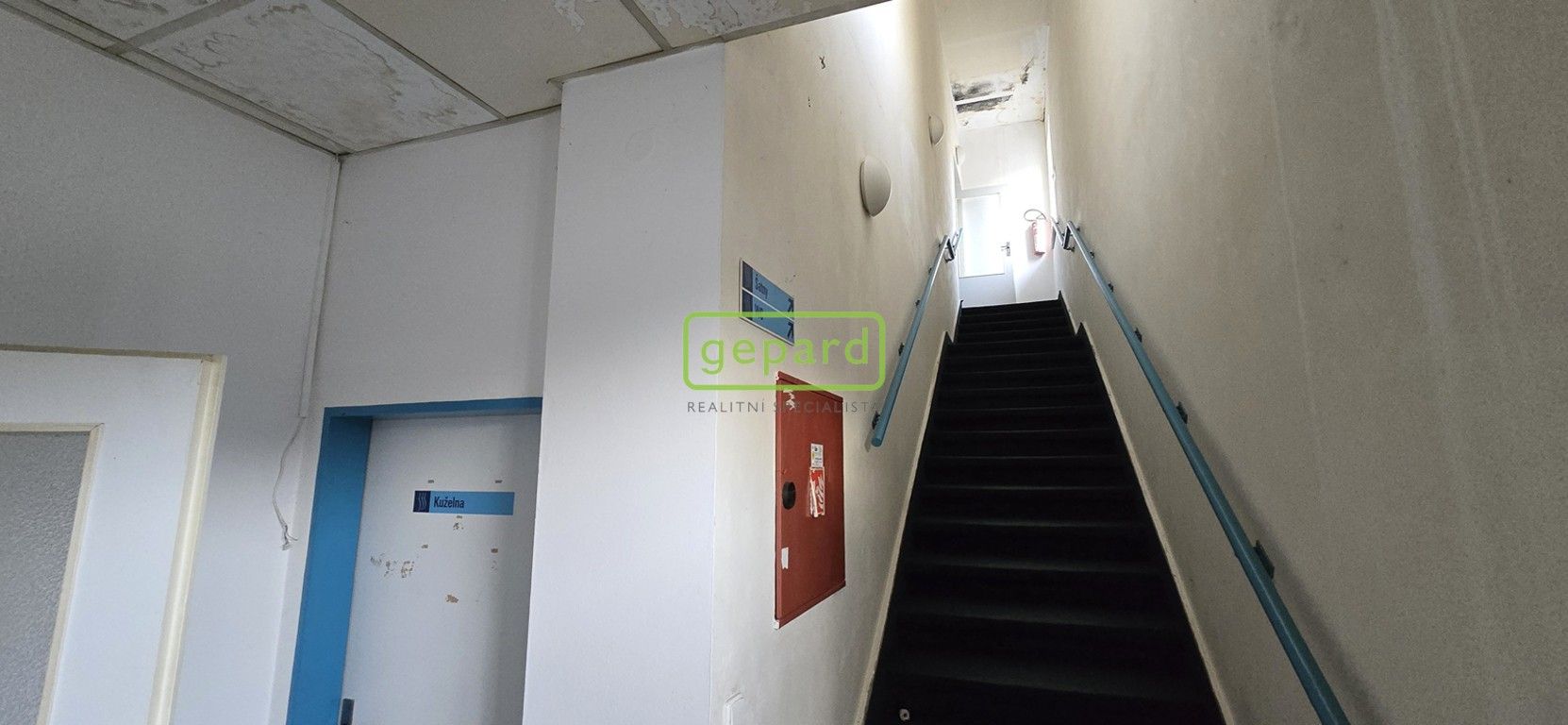 Pronájem nemovitosti 470 m² - foto 14
