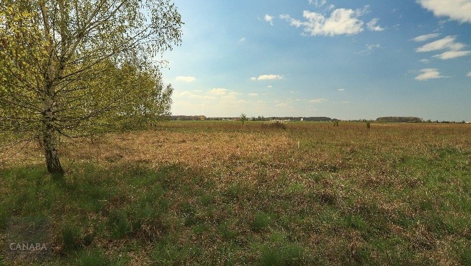 Prodej domu 97 m² - foto 4