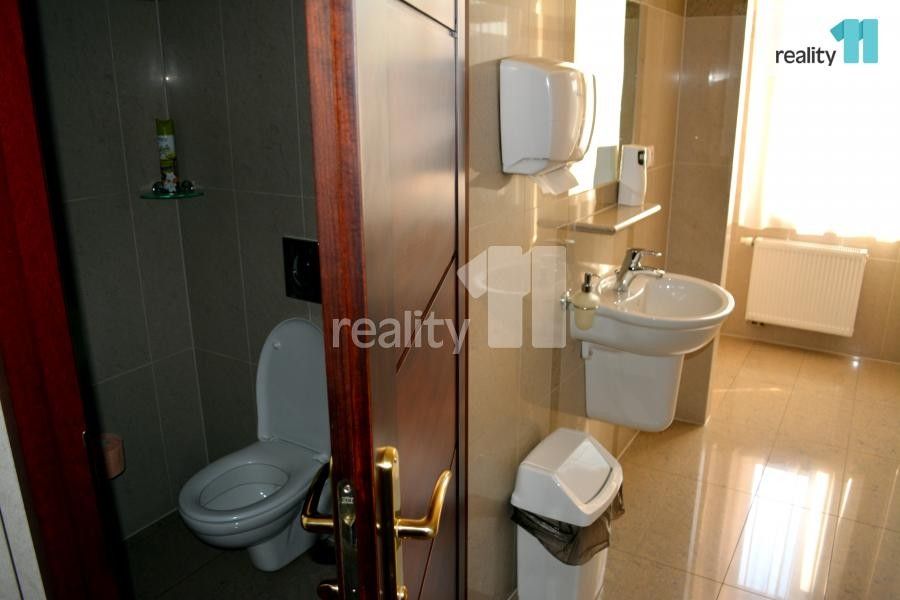 Pronájem komerčního prostoru 33 m² - foto 9