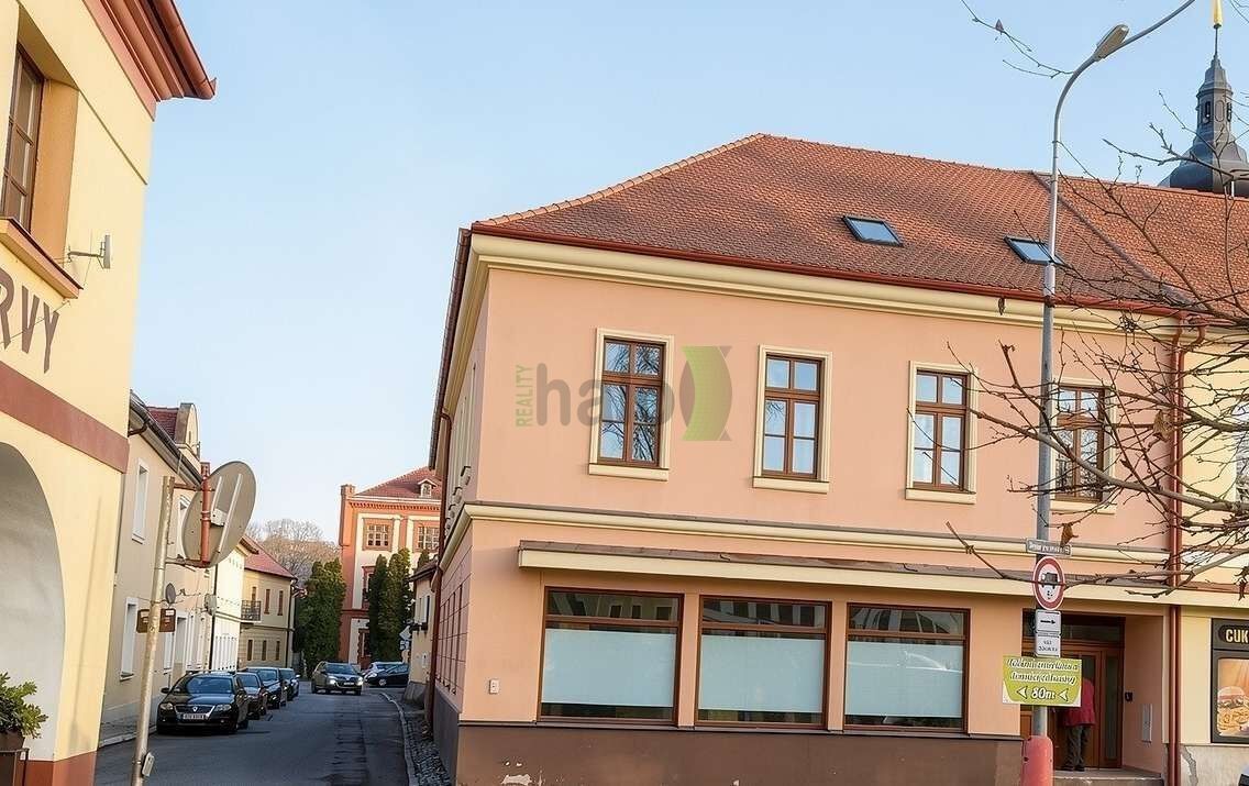 Pronájem komerčního prostoru 90 m² - foto 19