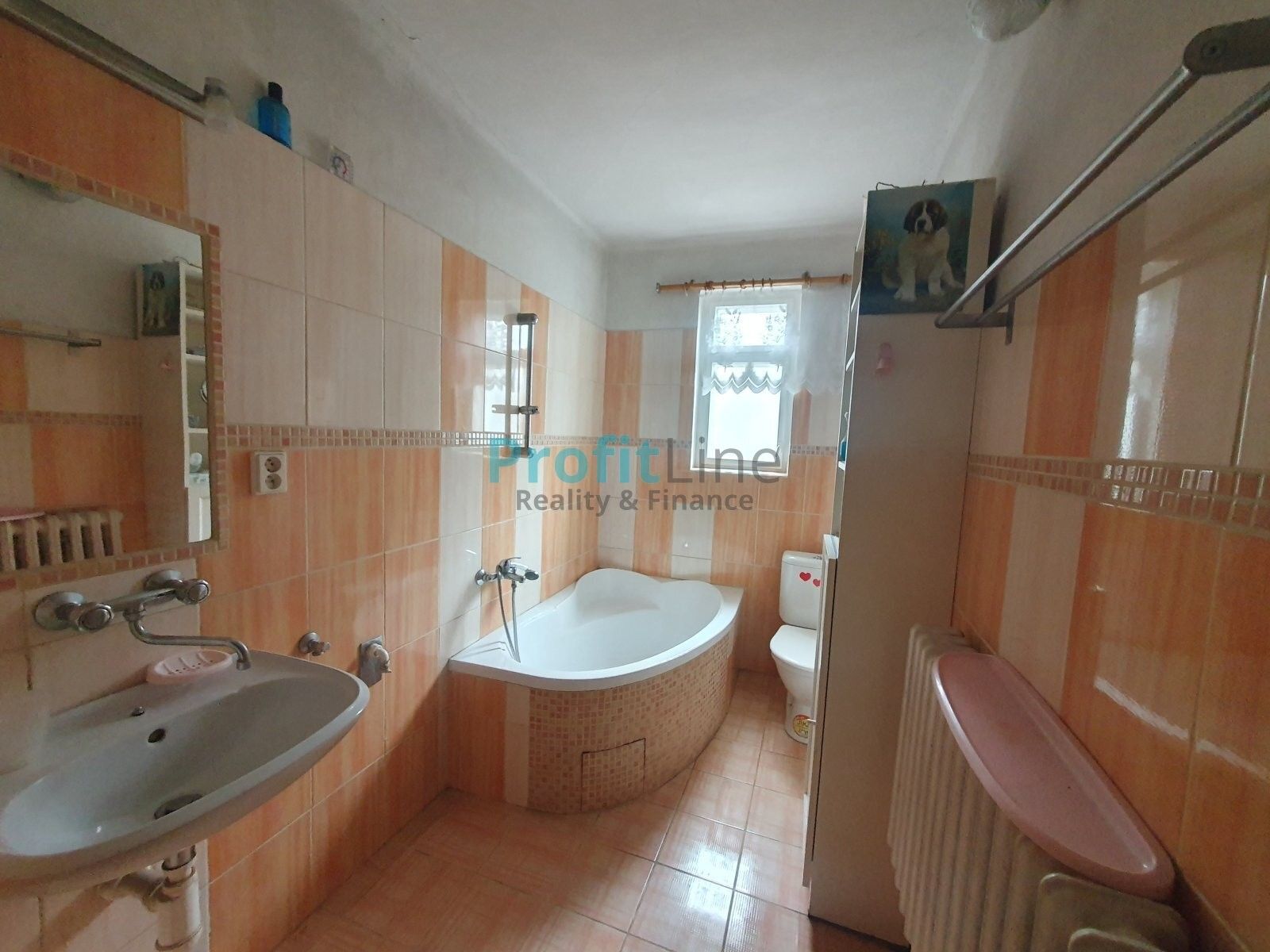 Prodej domu 303 m² - foto 9
