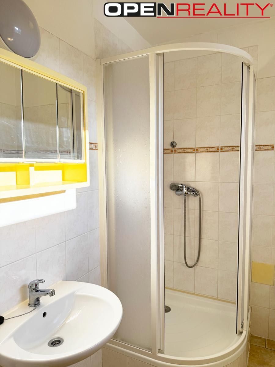 Pronájem bytu 1+kk 16 m² - foto 4