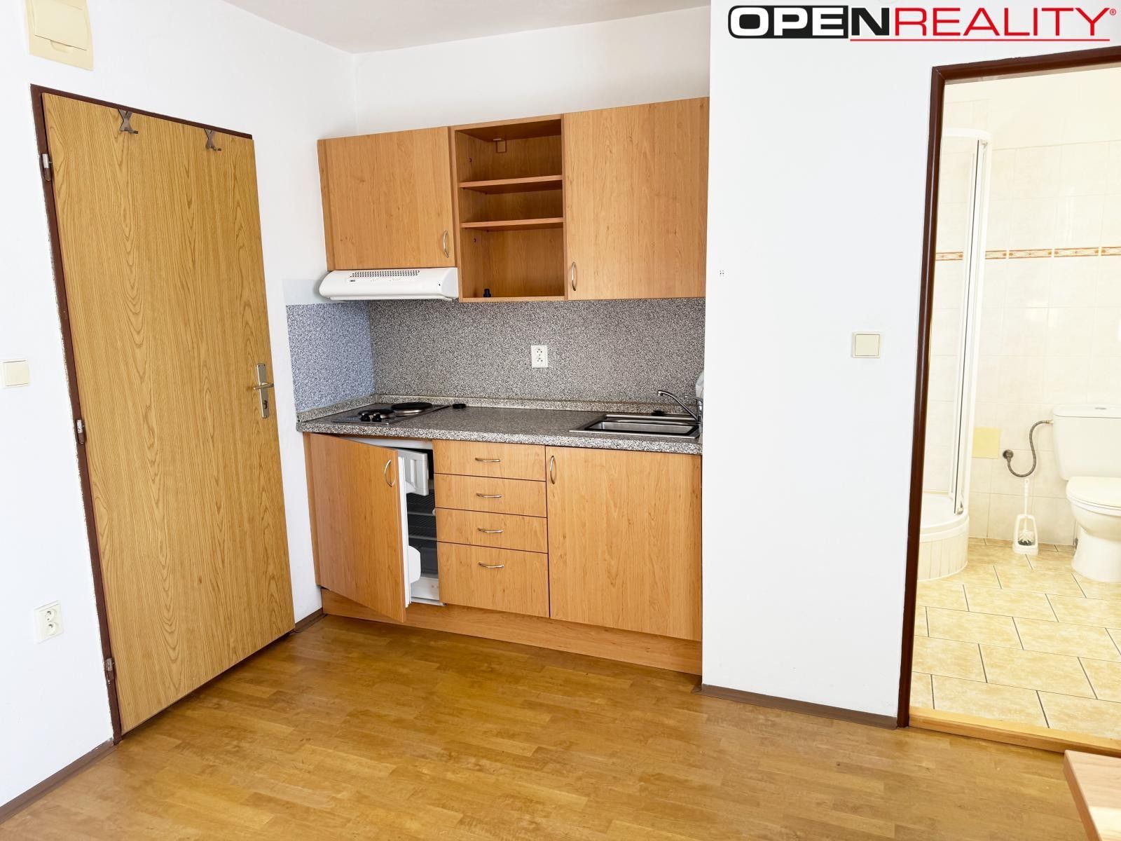 Pronájem bytu 1+kk 16 m² - foto 3