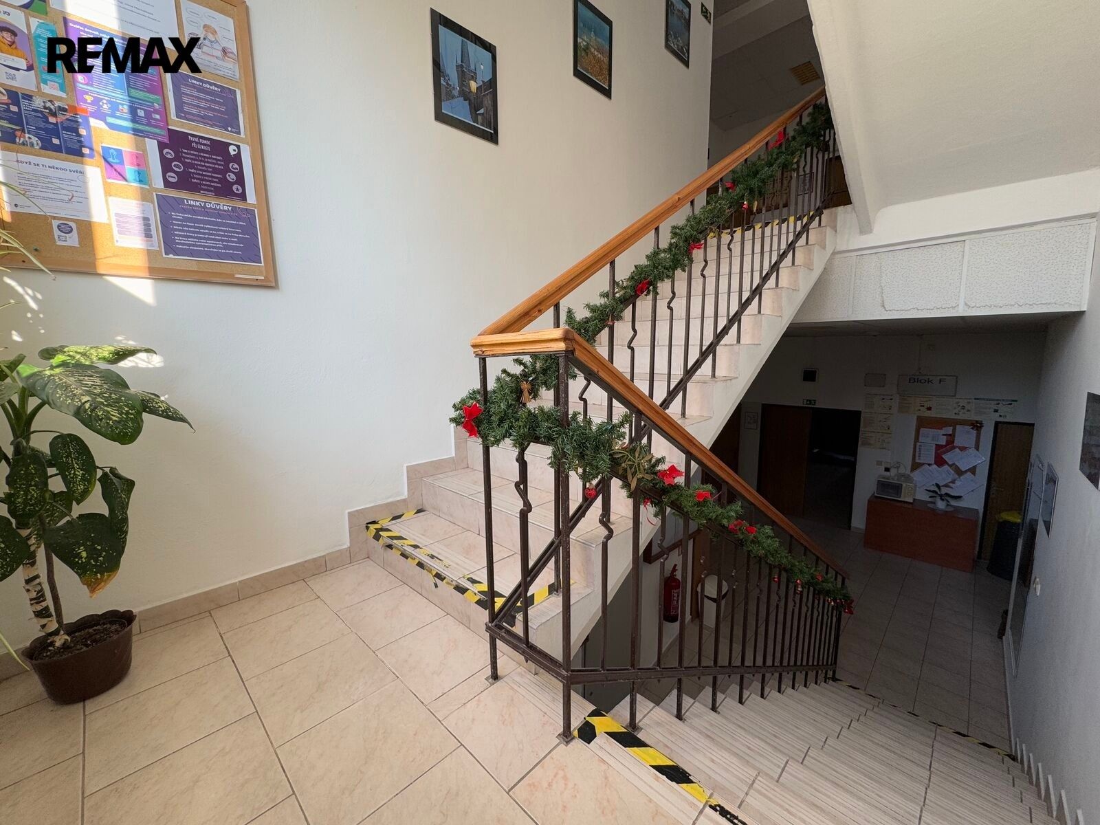 Prodej nemovitosti 1573 m² - foto 17