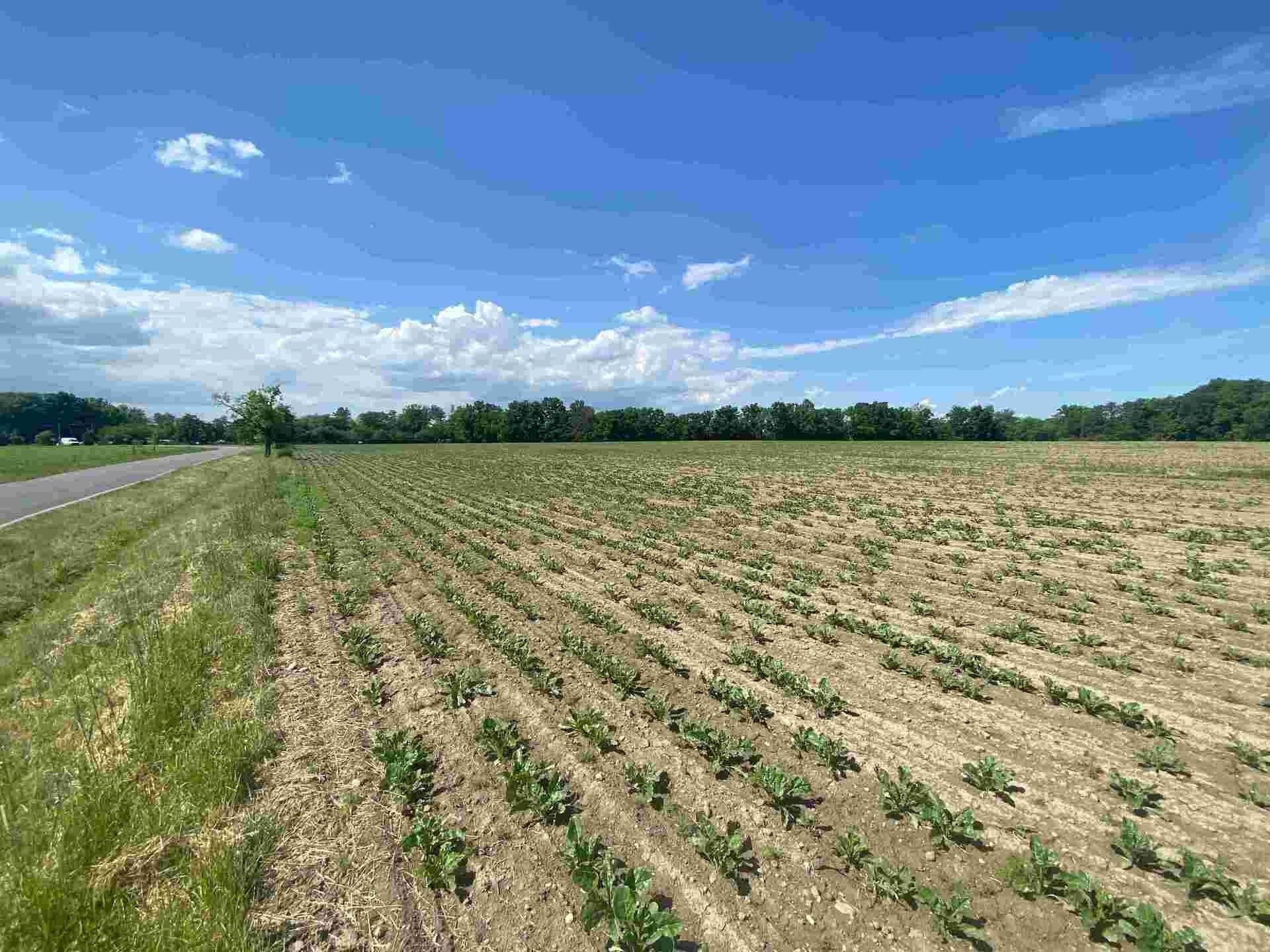 Prodej nemovitosti 1696 m² - foto 1