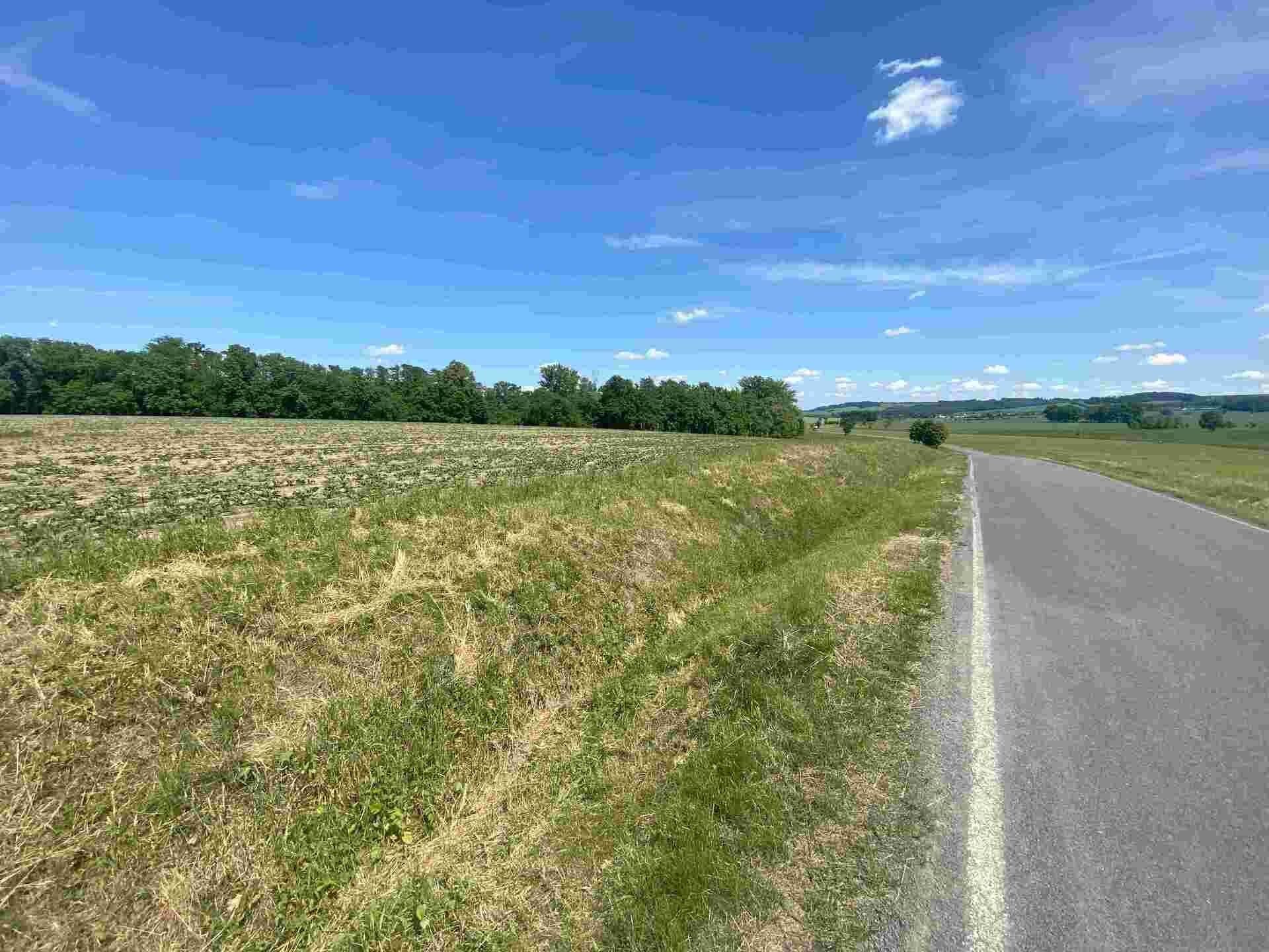 Prodej nemovitosti 1696 m² - foto 2