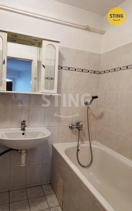 Pronájem bytu 2+1 50 m² - foto 14