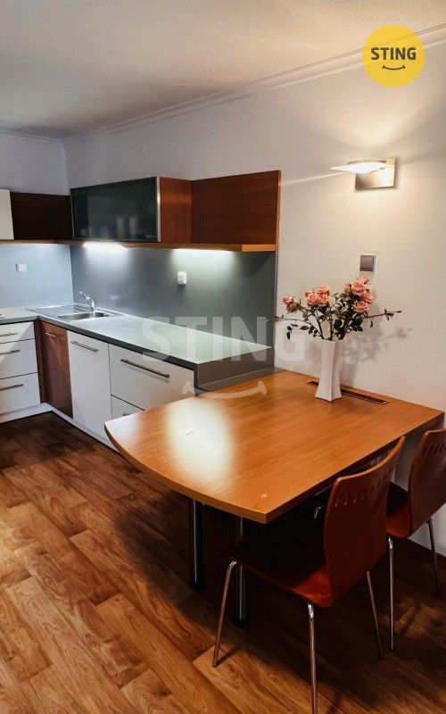 Pronájem bytu 2+1 50 m² - foto 9