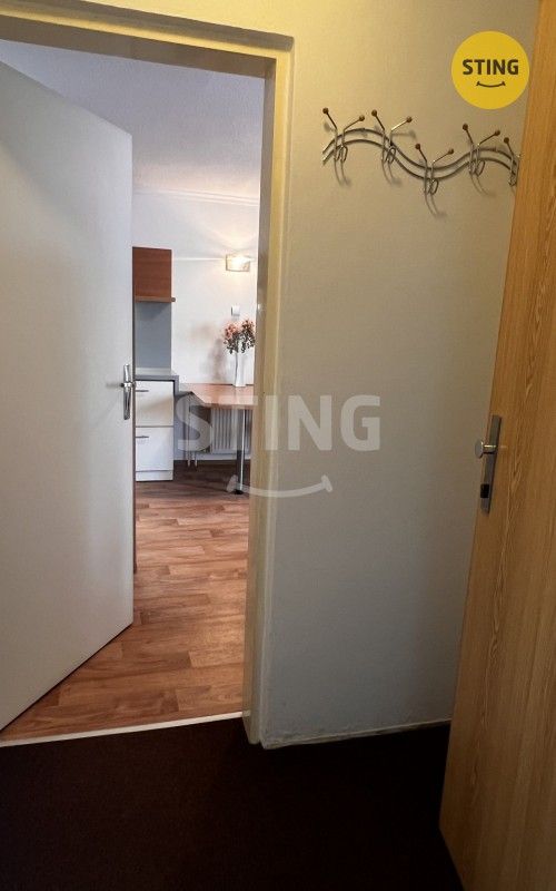 Pronájem bytu 2+1 50 m² - foto 17