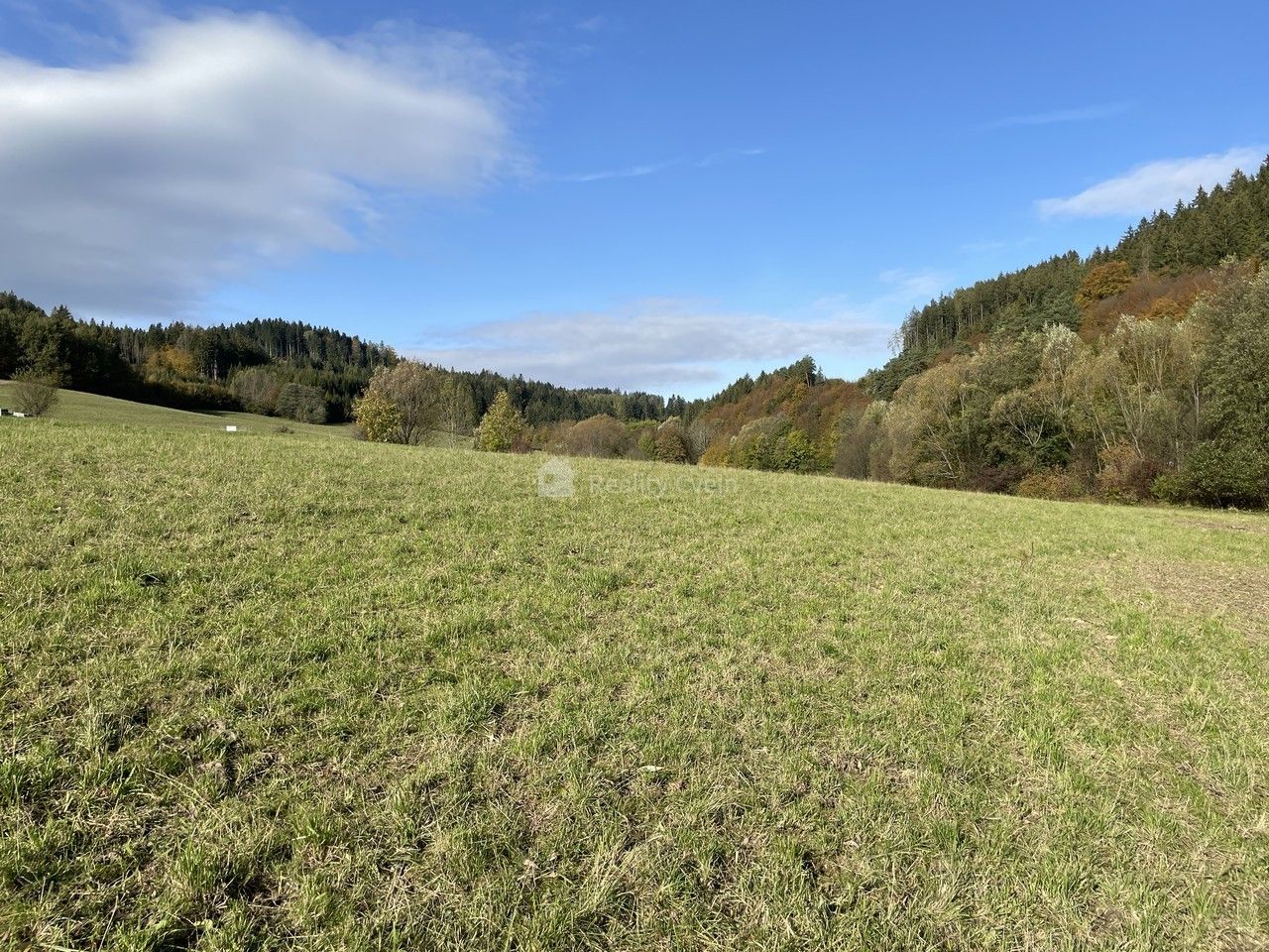 Prodej pozemku 4762 m² - foto 1
