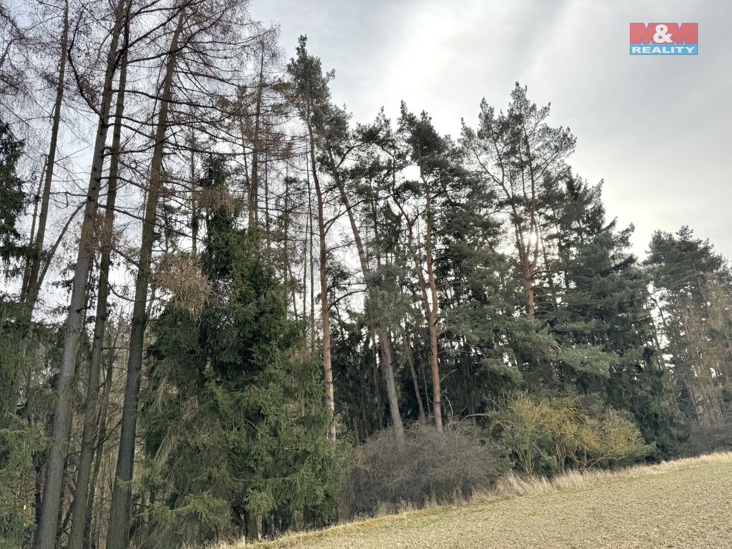 Prodej domu 70 m² - foto 19
