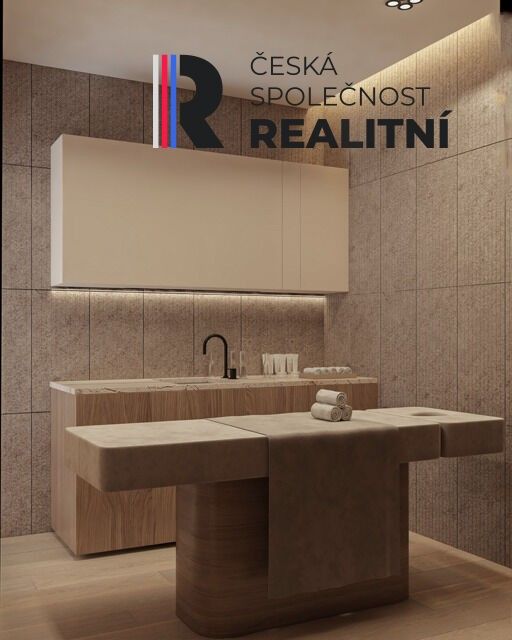 Prodej komerčního prostoru 670 m² - foto 25
