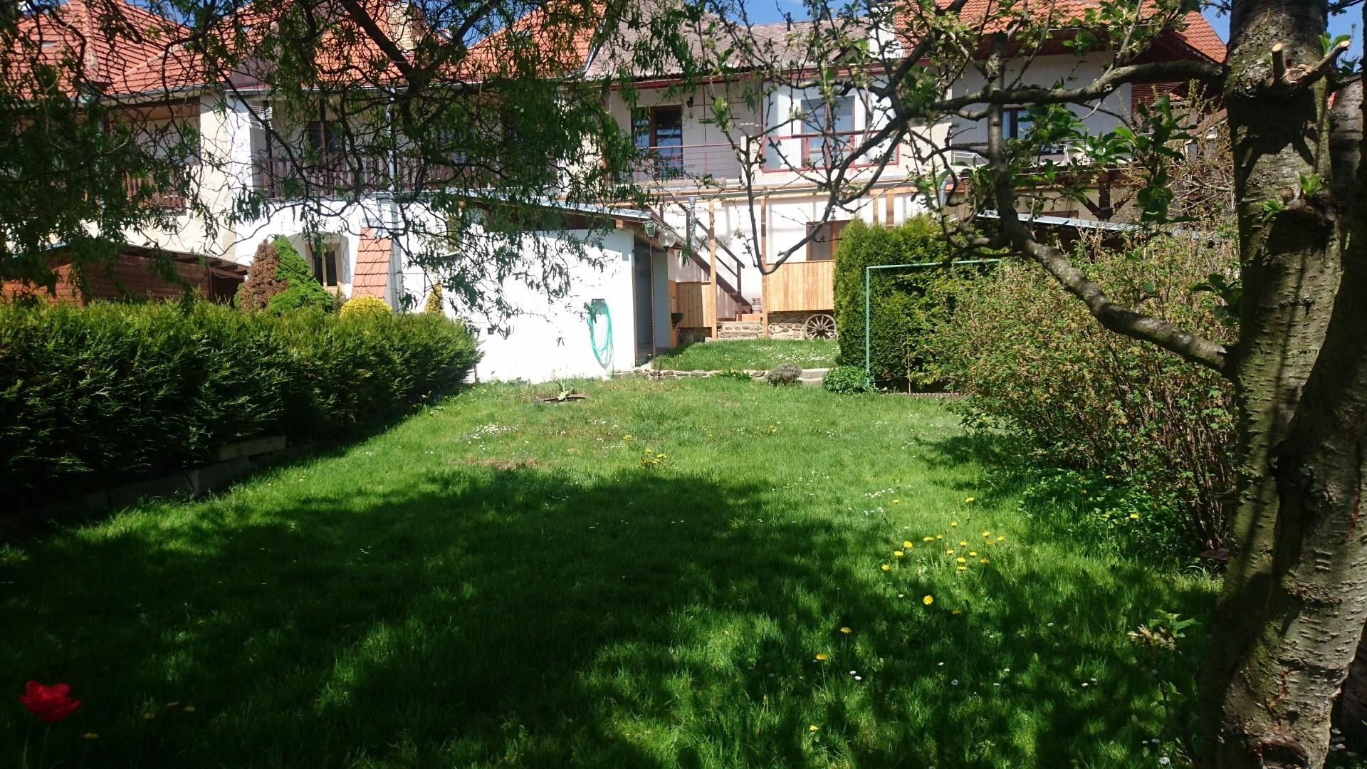 Pronájem bytu 1+kk 20 m² - foto 14