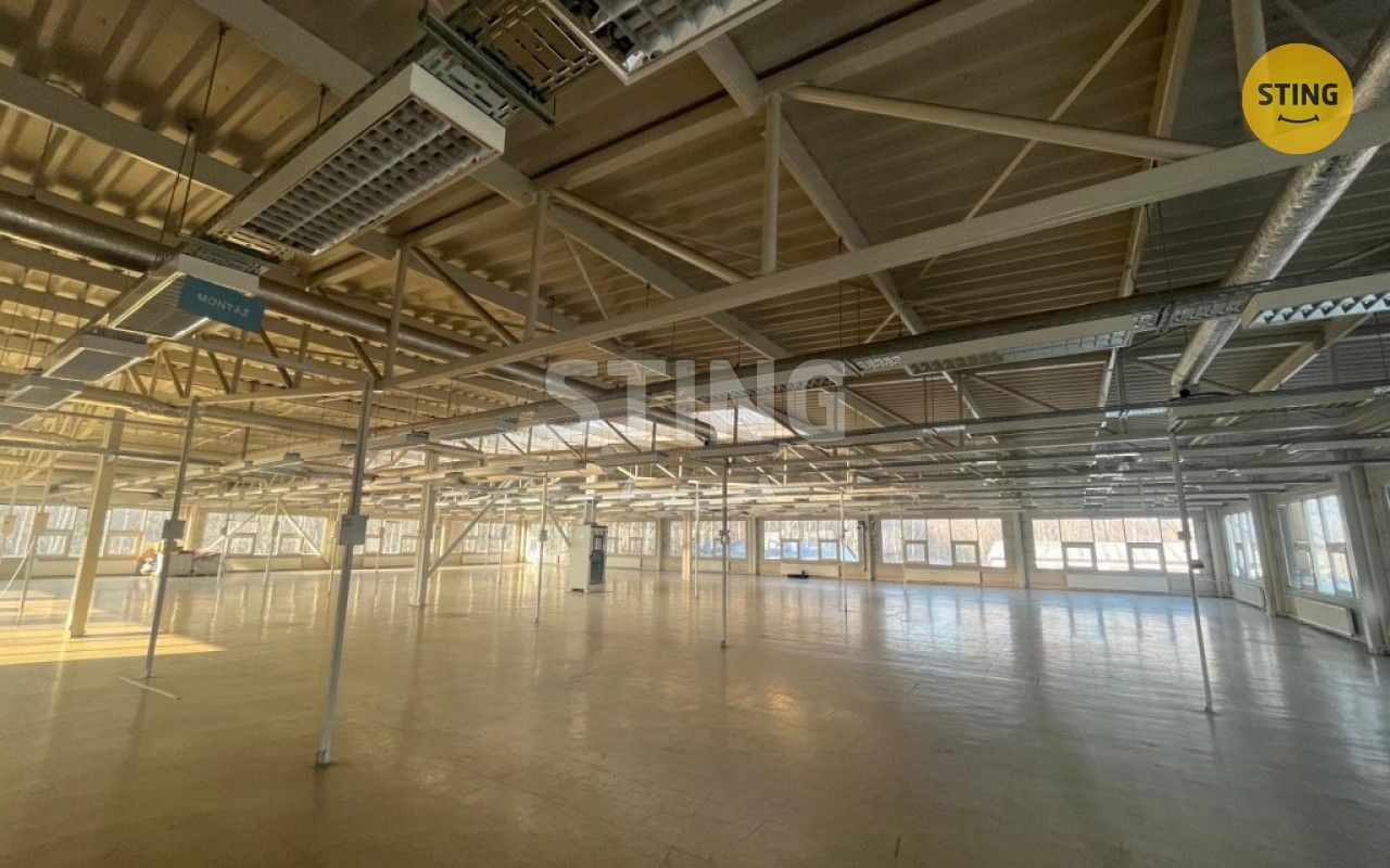 Pronájem komerčního prostoru 500 m² - foto 4