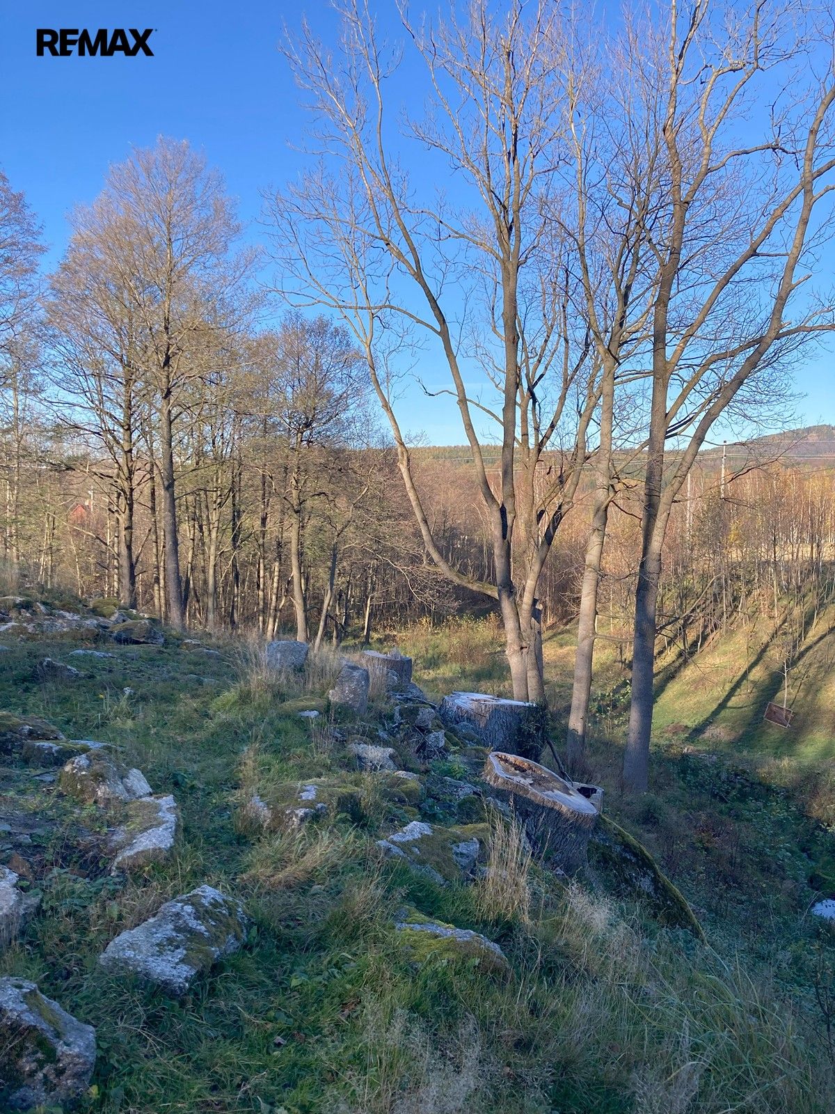 Prodej nemovitosti 6645 m² - foto 7