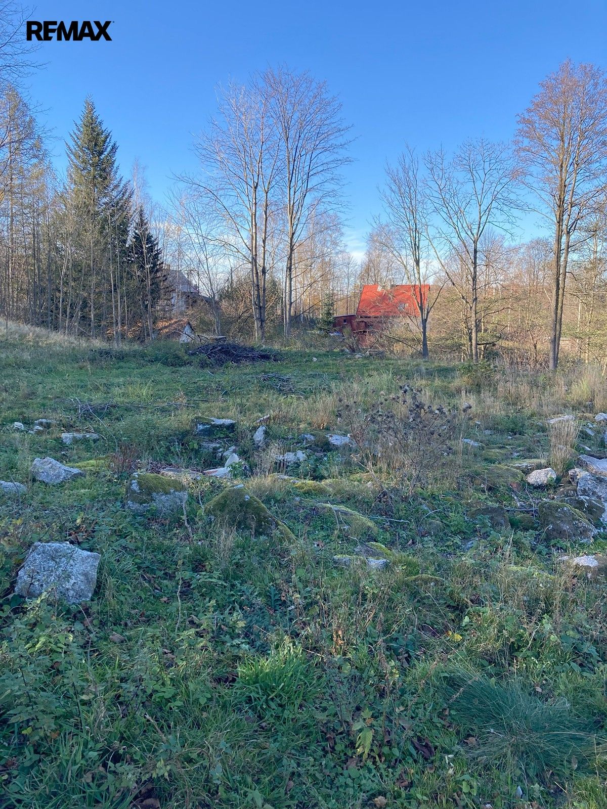 Prodej nemovitosti 6645 m² - foto 6