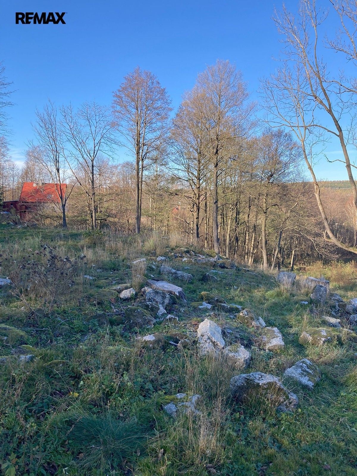 Prodej nemovitosti 6645 m² - foto 5