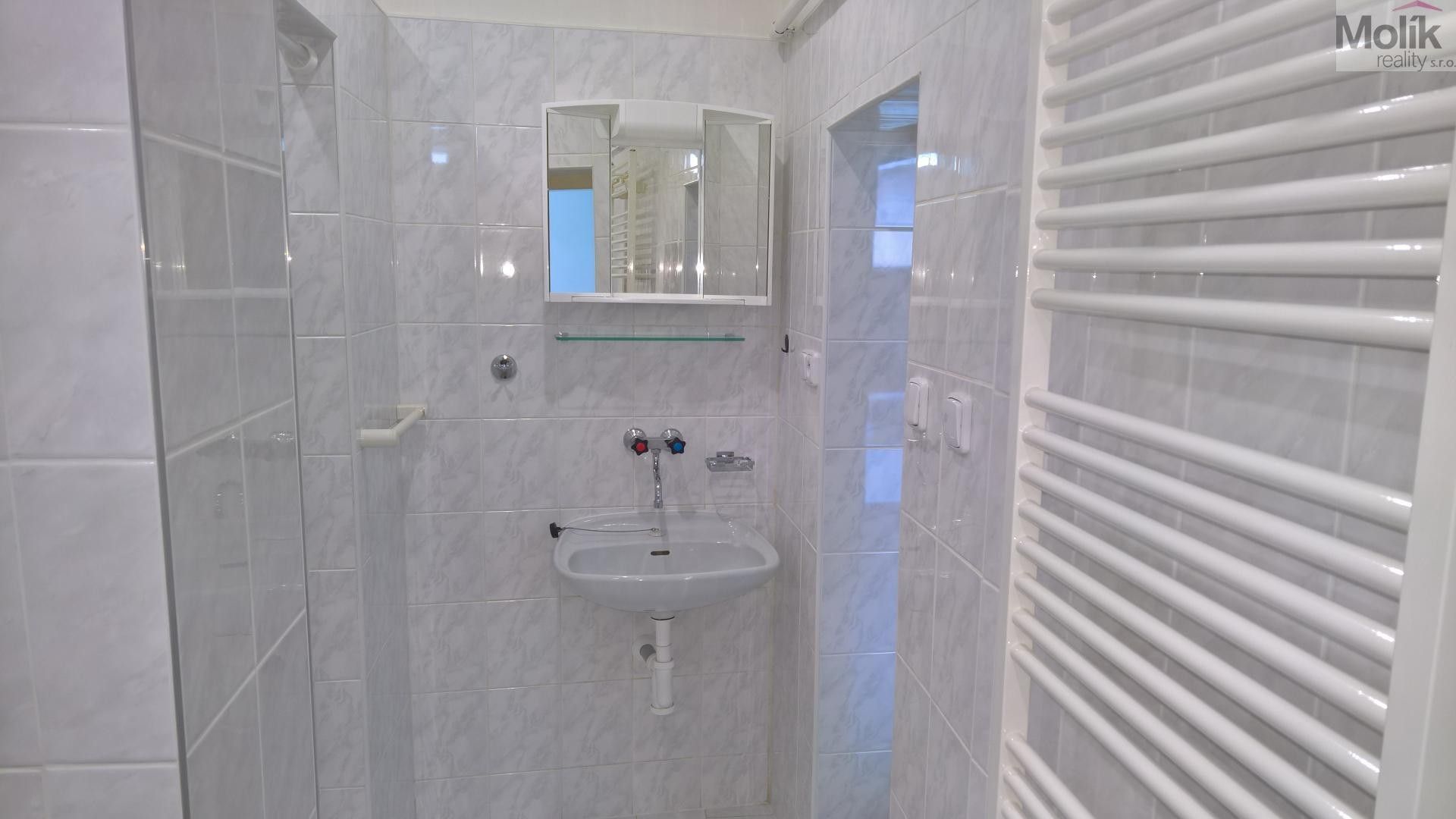 Prodej nemovitosti 326 m² - foto 39
