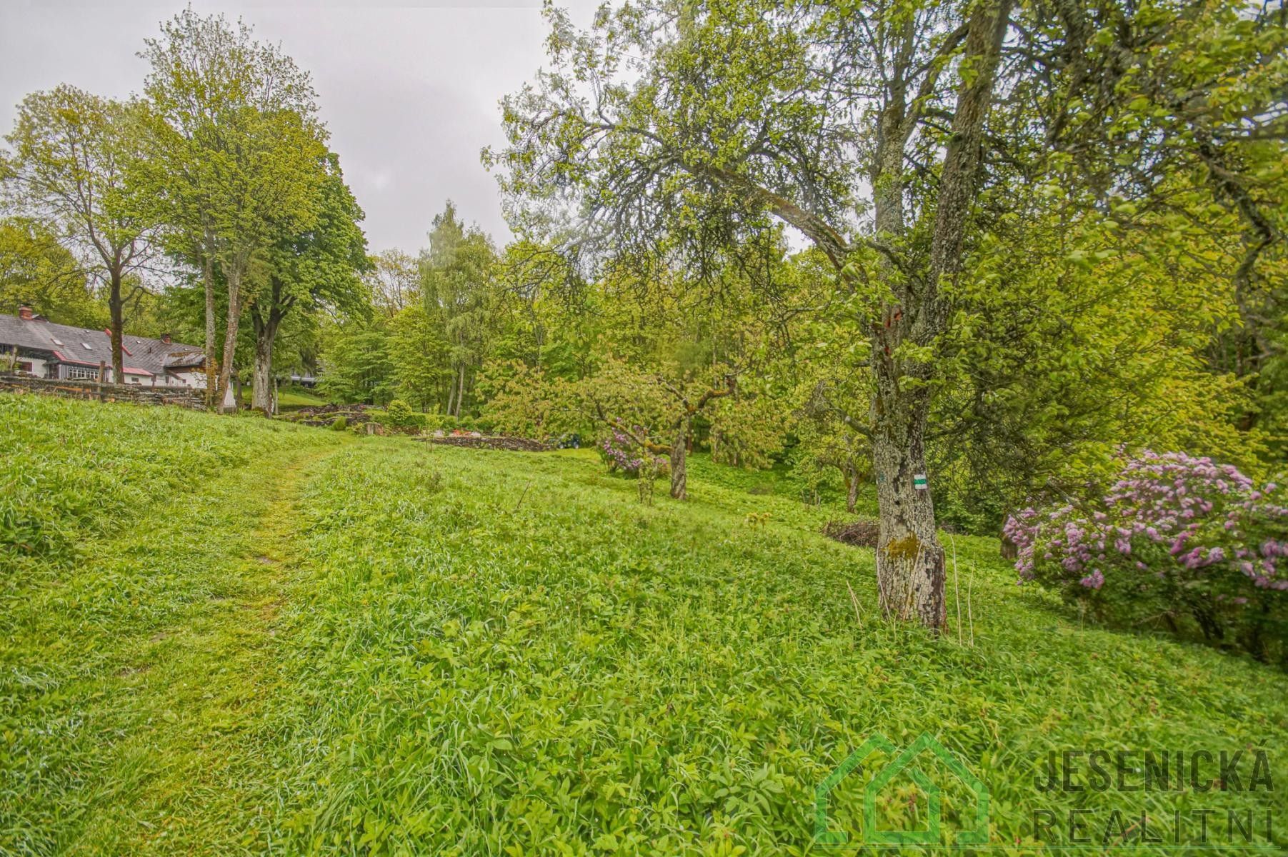 Prodej pozemku 2772 m² - foto 8