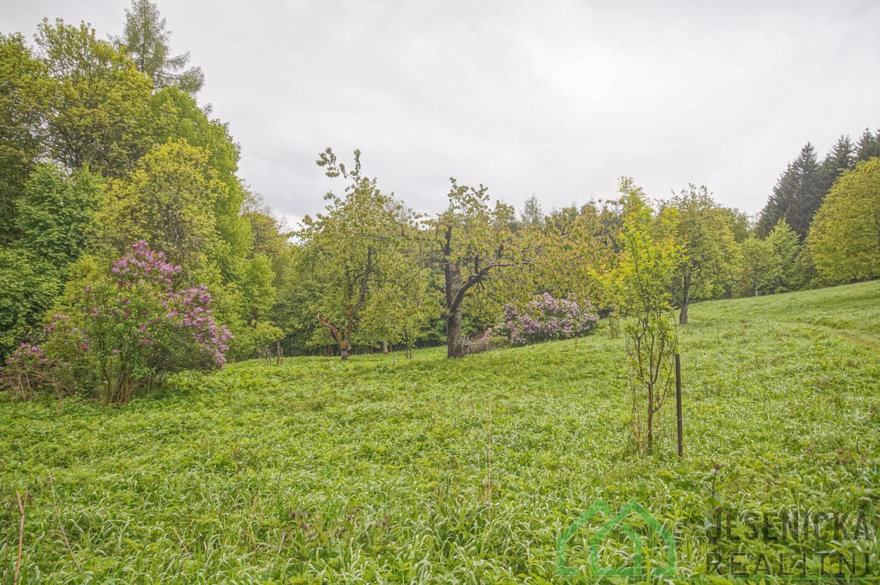 Prodej pozemku 2772 m² - foto 6