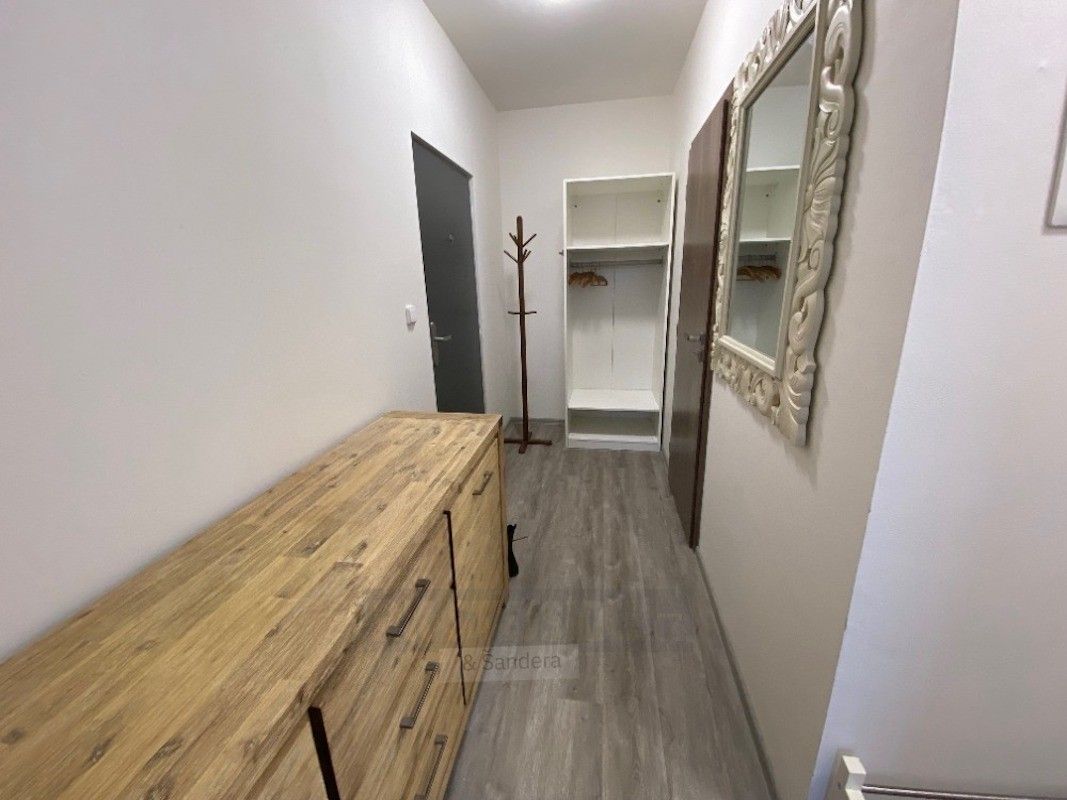 Pronájem bytu 2+kk 43 m² - foto 13