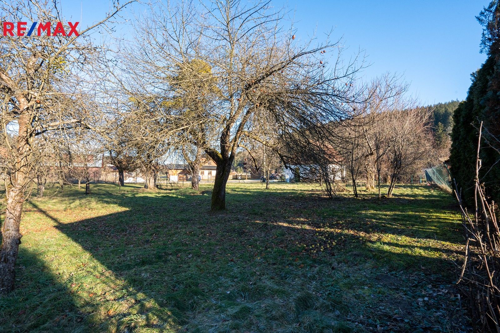 Prodej pozemku 1000 m² - foto 7