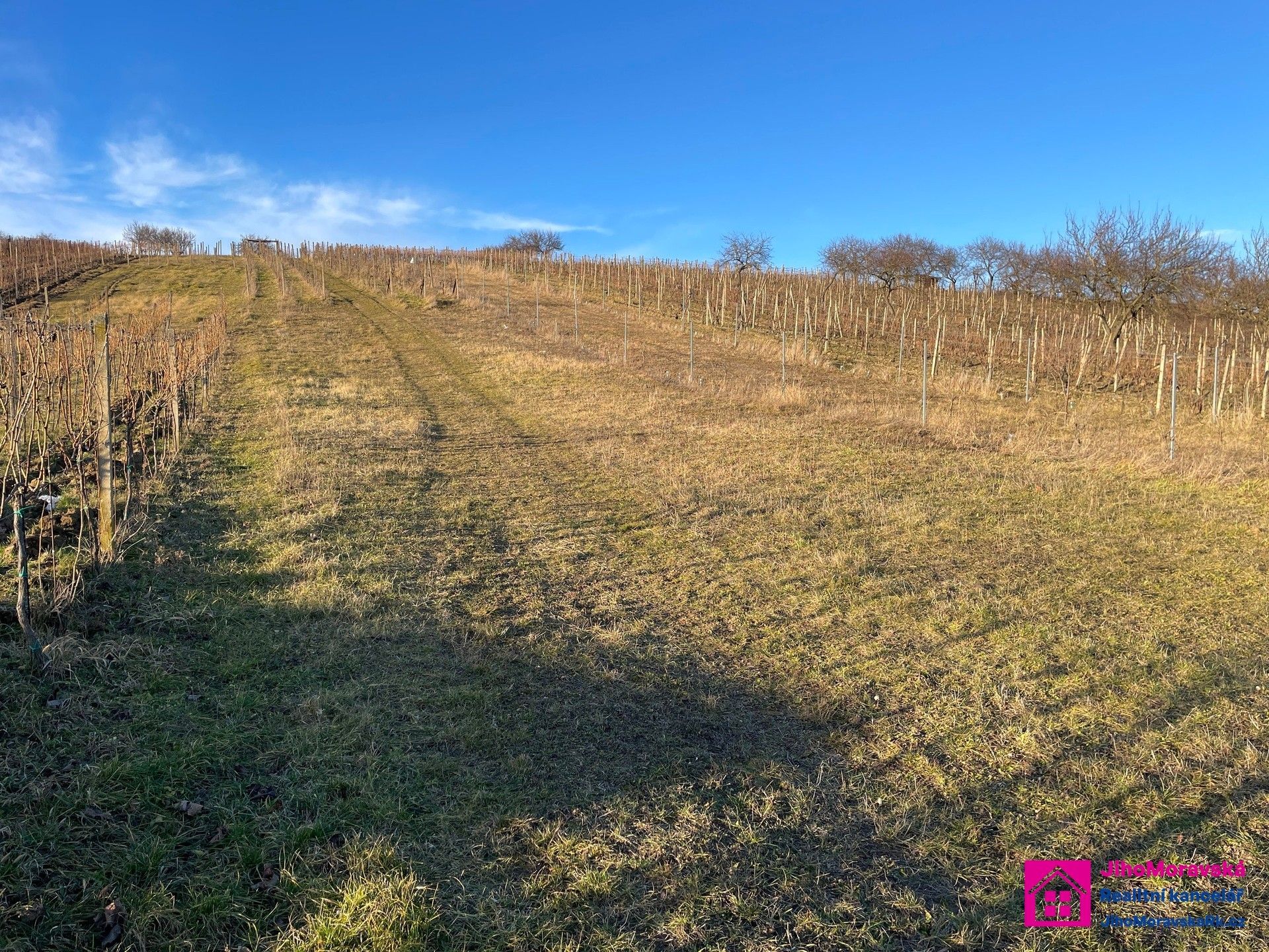 Prodej nemovitosti 2567 m² - foto 3