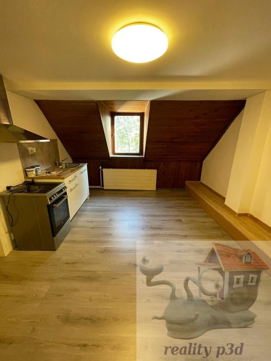 Pronájem bytu 1+kk 27 m² - foto 1