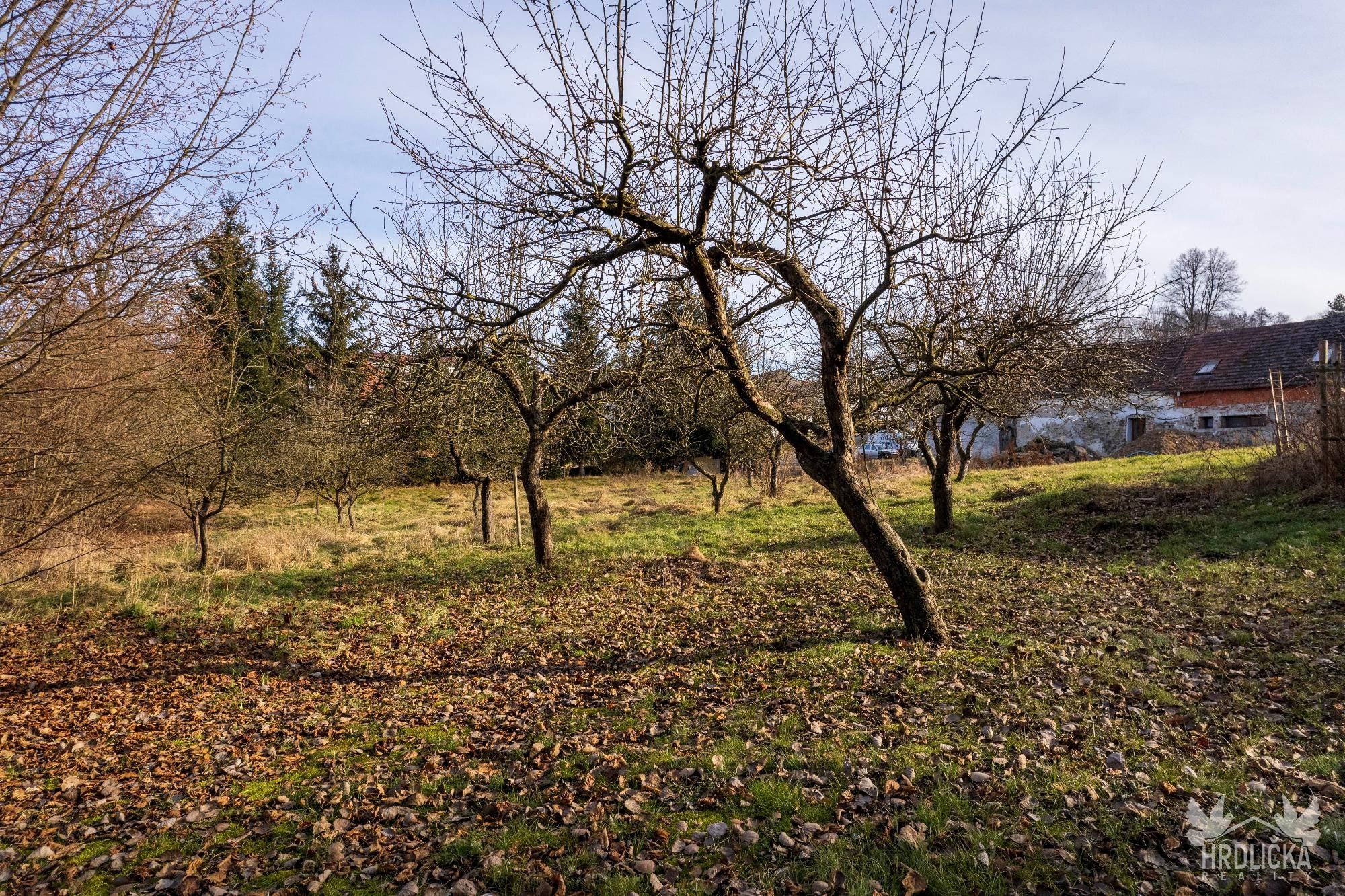 Prodej pozemku 1915 m² - foto 5