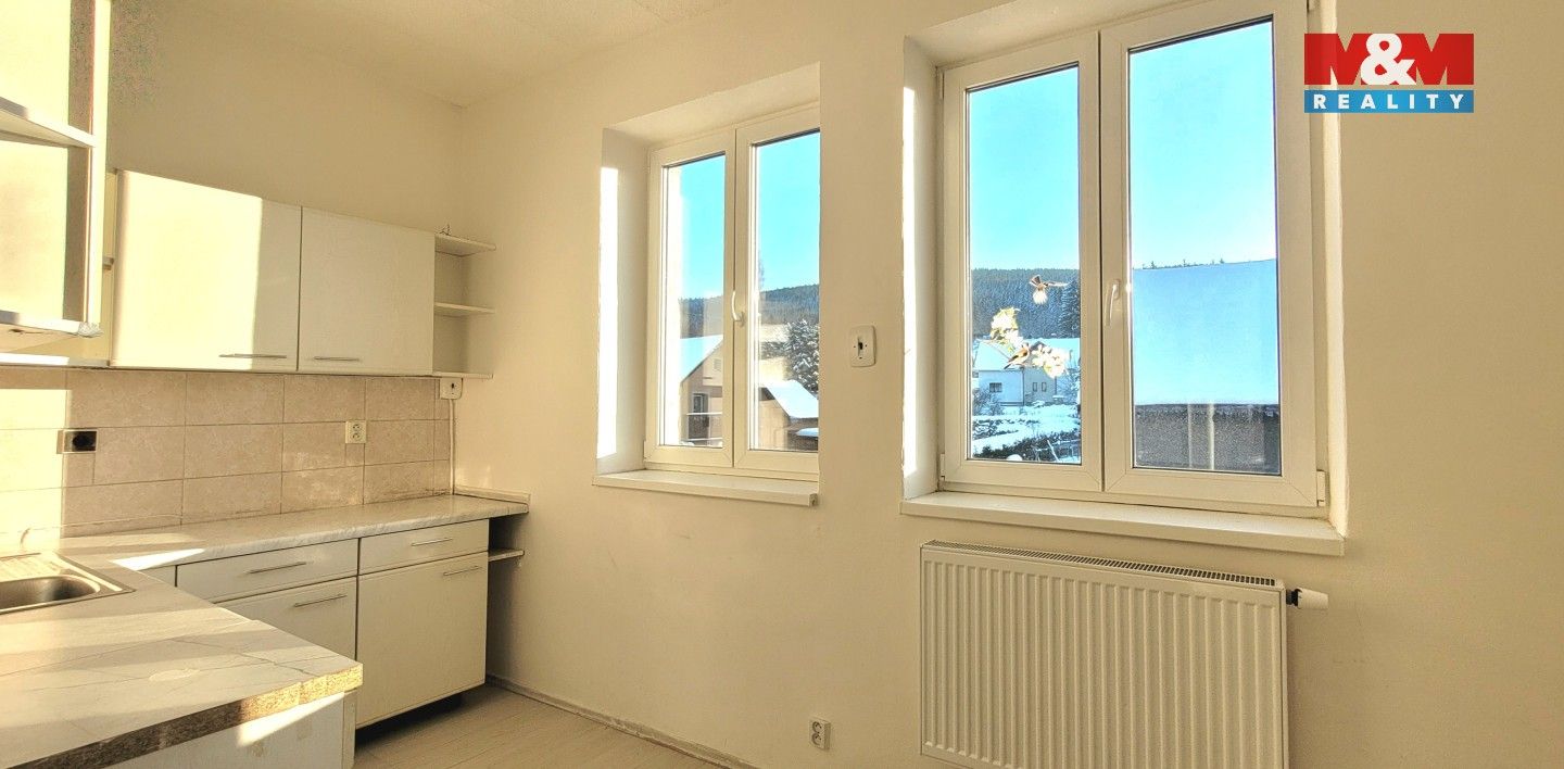 Pronájem bytu 1+1 45 m² - foto 4