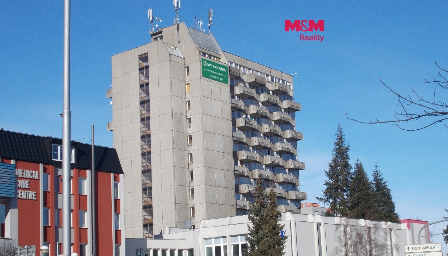 Pronájem bytu 1+kk 20 m² - foto 1